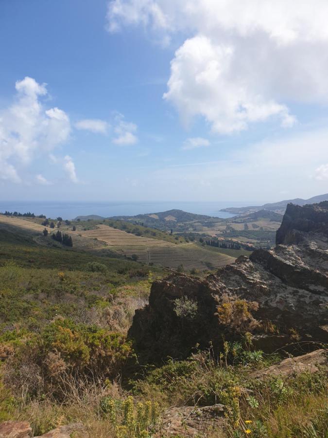 Mas Del Roumany Villa Port Vendres Luaran gambar