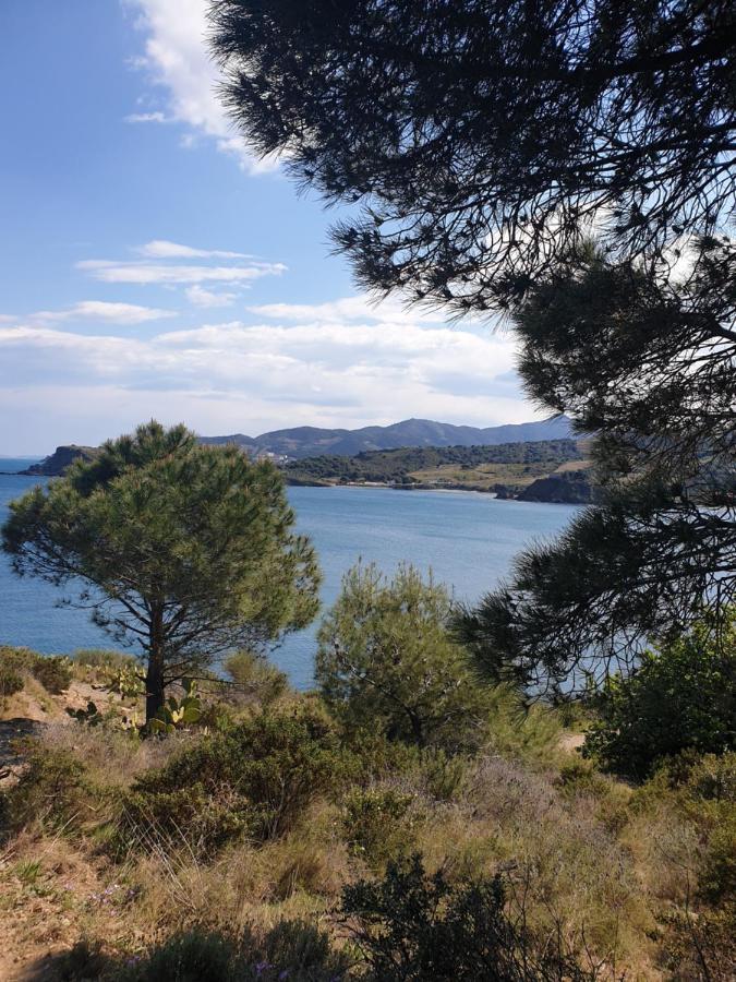 Mas Del Roumany Villa Port Vendres Luaran gambar