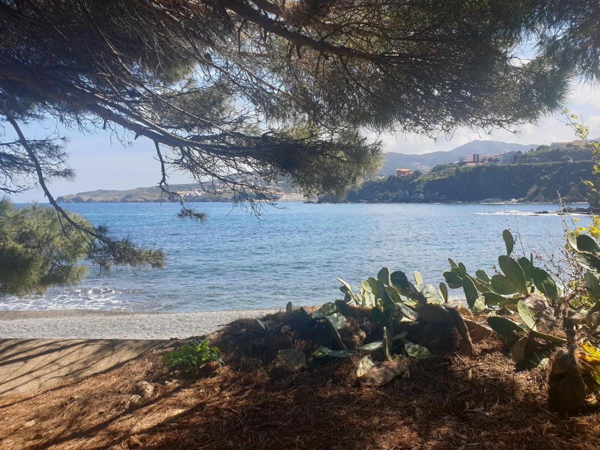 Mas Del Roumany Villa Port Vendres Luaran gambar
