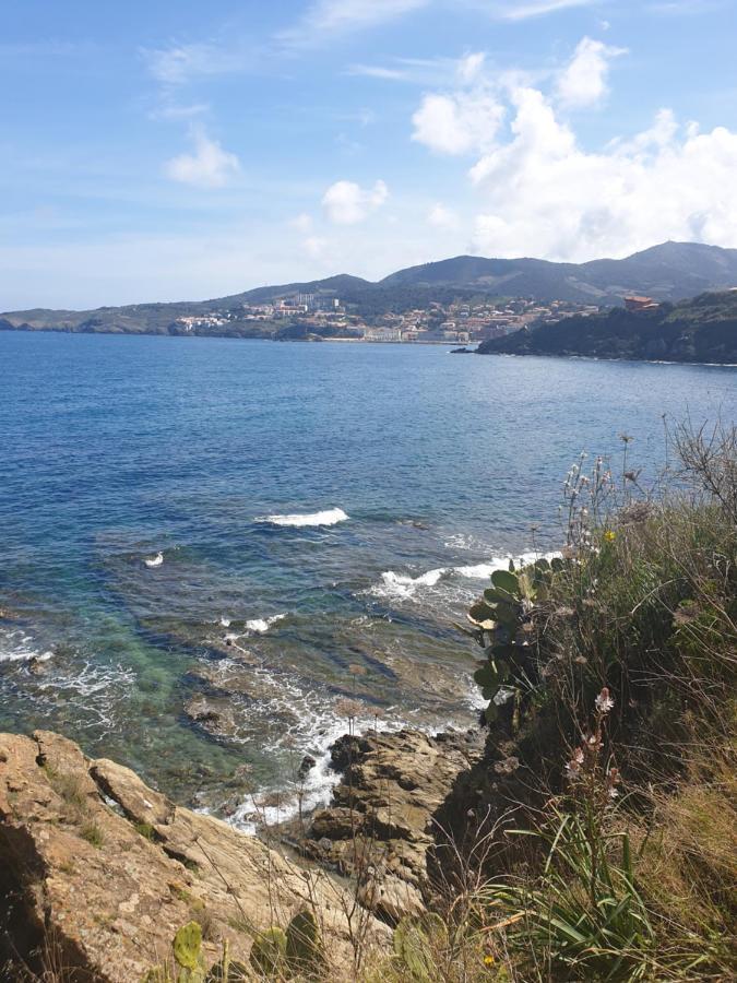 Mas Del Roumany Villa Port Vendres Luaran gambar
