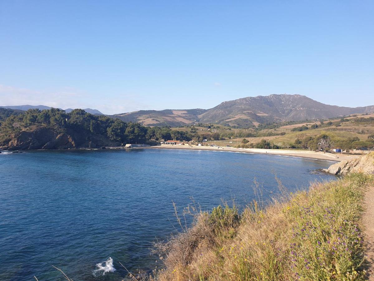 Mas Del Roumany Villa Port Vendres Luaran gambar