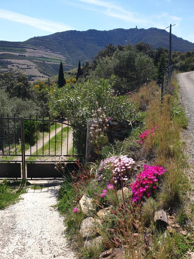 Mas Del Roumany Villa Port Vendres Luaran gambar