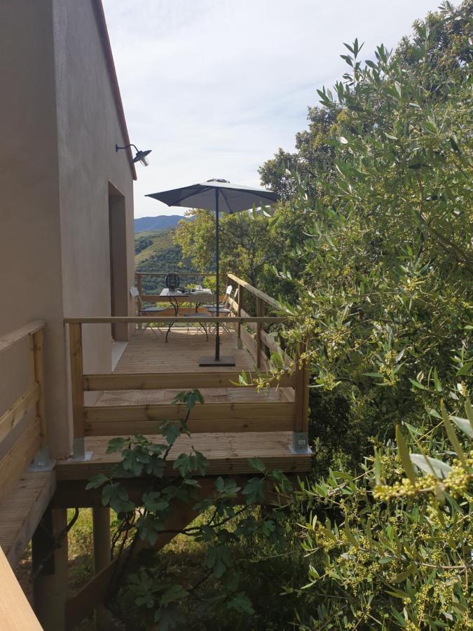 Mas Del Roumany Villa Port Vendres Luaran gambar