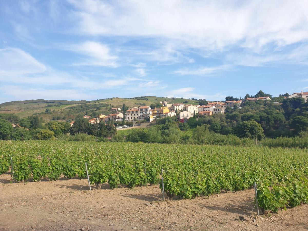 Mas Del Roumany Villa Port Vendres Luaran gambar