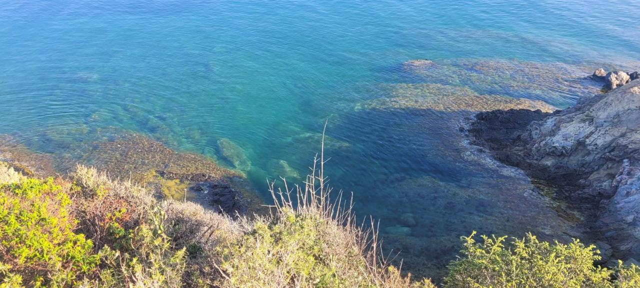 Mas Del Roumany Villa Port Vendres Luaran gambar