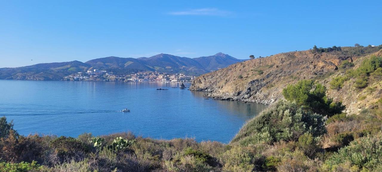 Mas Del Roumany Villa Port Vendres Luaran gambar
